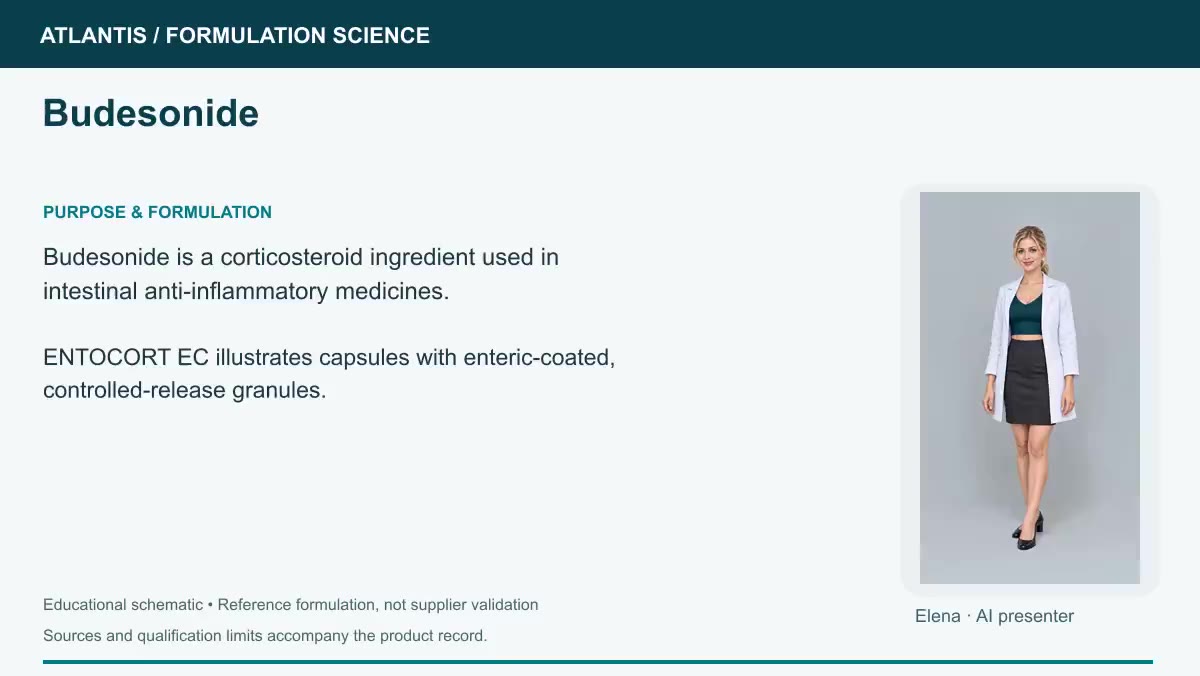 Budesonide explainer preview