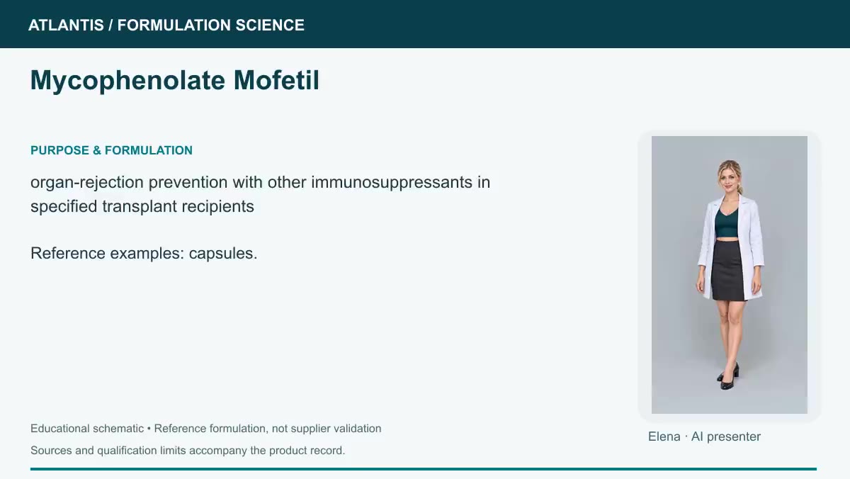 Mycophenolate Mofetil explainer preview