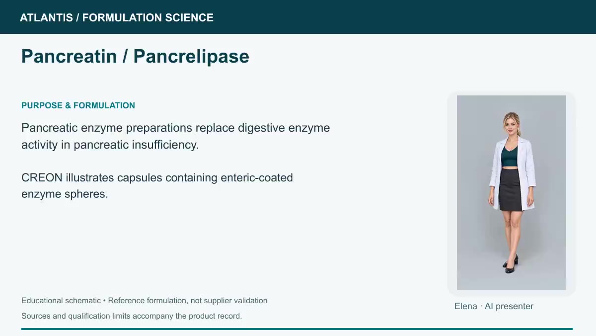 Pancreatin / pancrelipase explainer preview